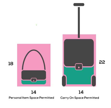 what is allowed in your purse on a plane