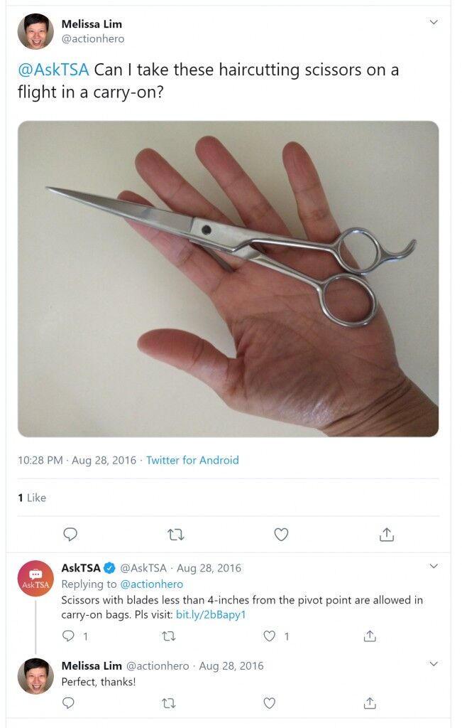 Are scissors allowed on a plane? (TSA Rules)