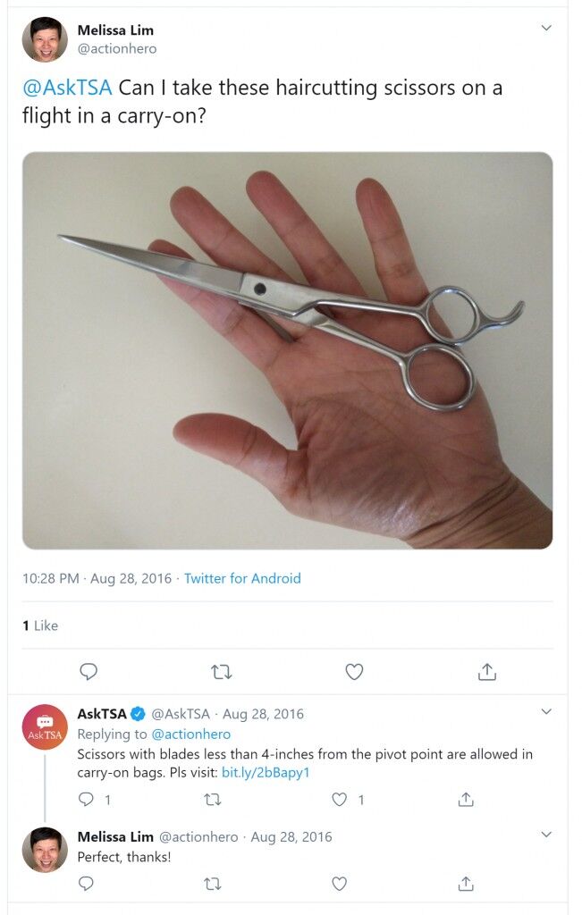 scissors allowed in flight