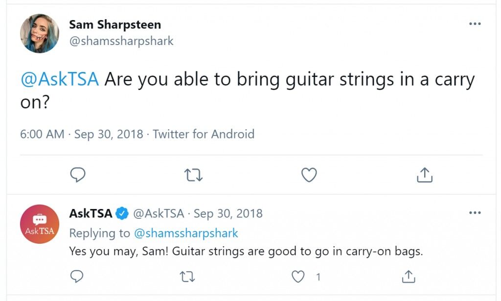 Can You Bring A Guitar On A Plane?