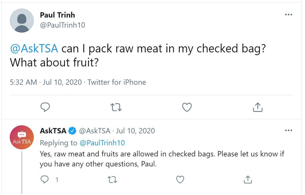 can-you-bring-meat-on-a-plane-tsa-rules