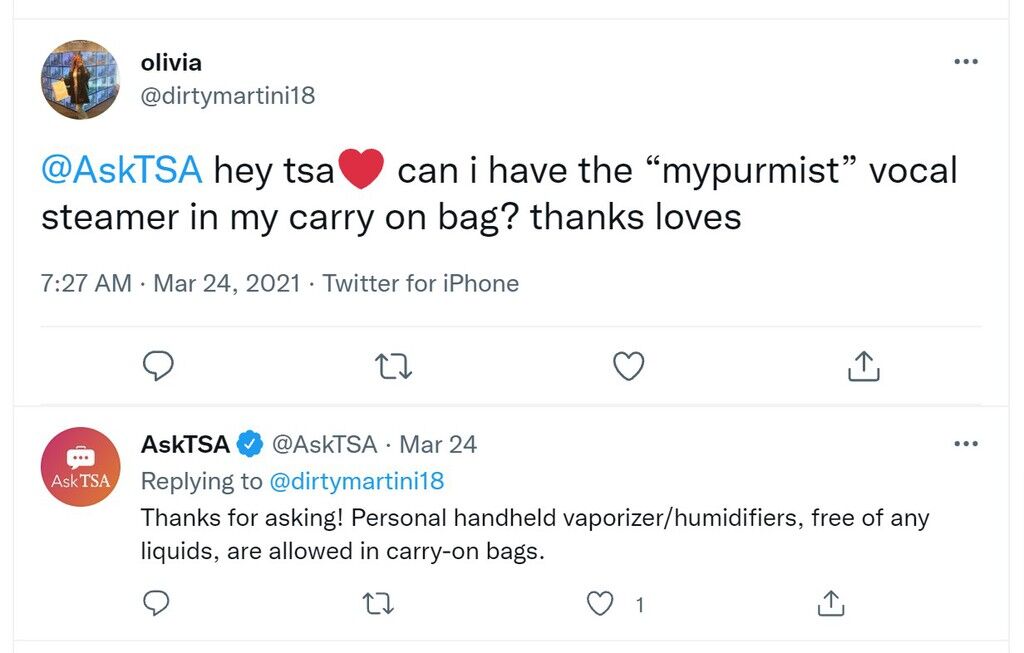 Can You Take A Steamer On A Plane? (TSA Rules)