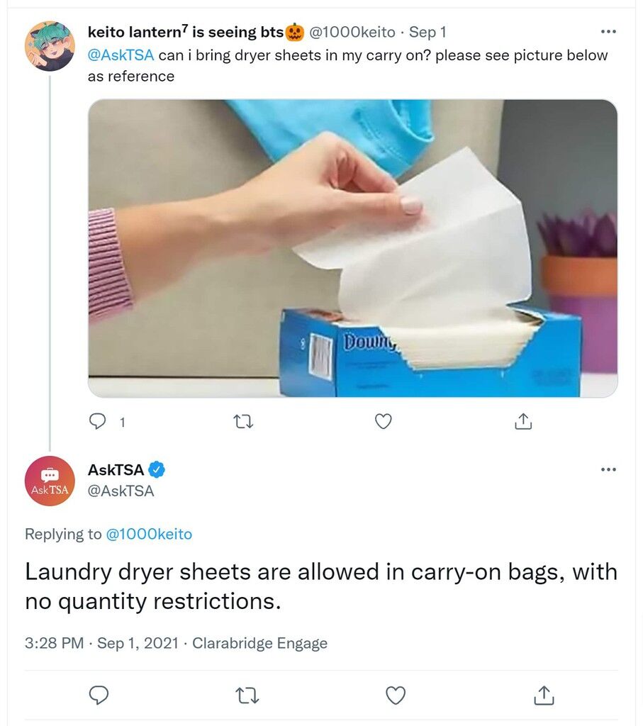 Can You Bring Laundry Detergent Or Tide Pods On A Plane