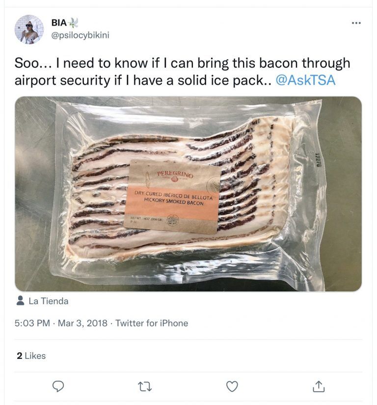 Can You Bring Ice Packs On A Plane Tsa Rules